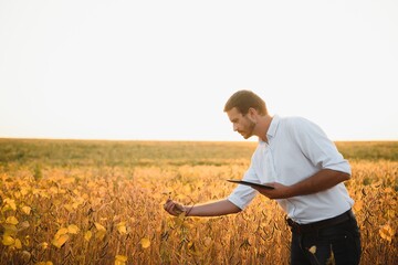 Naklejka na ściany i meble Young farmer in soybean fields