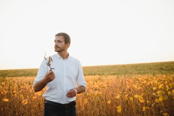 Agronomist inspects soybean crop in agricultural field - Agro concept - farmer in soybean plantation on farm.