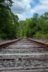 Fototapeta na wymiar Railway in the woods