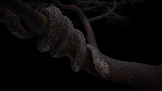 King cobra snake coil on big tree have slowly movement with 3d rendering include alpha path.