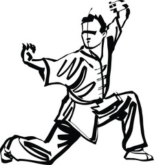 The vector illustration of the wushu fighter