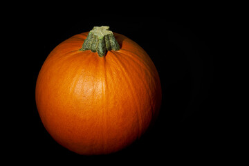Pumpkin in the dark for Halloween. Copy space.