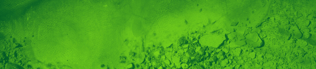 abstract green bright color background for design