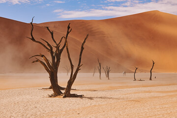 namibian desert landscape, matte style.