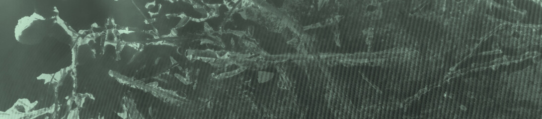 abstract black and light green colors background for design