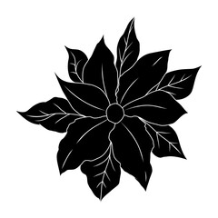 Fototapeta premium Christmas poinsettia. Vector silhouette illustration isolated on white background.