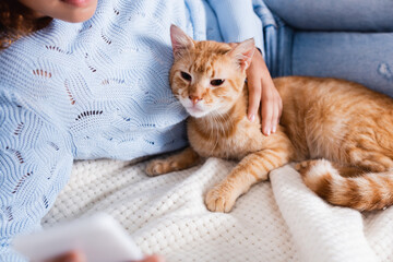 Fototapeta na wymiar Selective focus of woman using smartphone and touching tabby cat on bed
