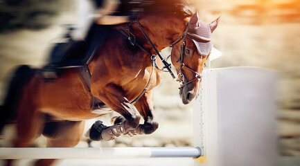 The red horse overcomes an obstacle.Show jumping