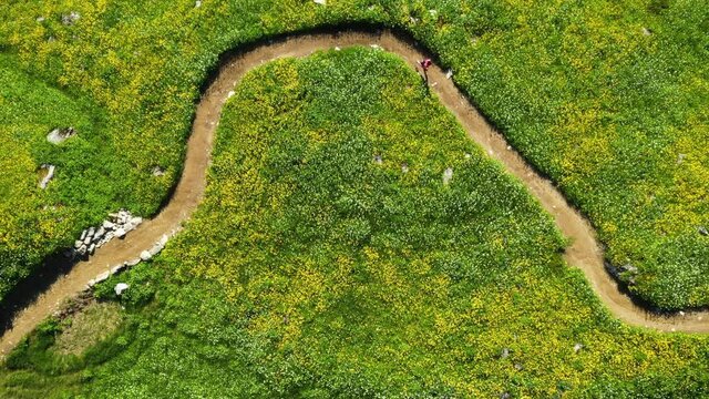 Person Running Through A Field Of Flowers