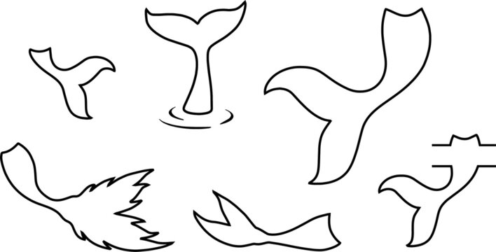 Mermaid tails, fish, starfish, shell silhouettes. Marine elements. Vector illustrations isolated on white background.
