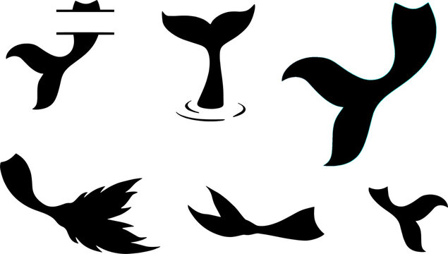 Mermaid tails, fishes, starfishes, shell silhouettes. Marine elements. Vector illustrations isolated on white background.