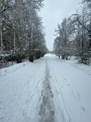 road in winter