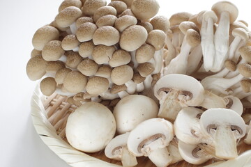 Japanese food ingredient, Shimeji mushroom with copy space