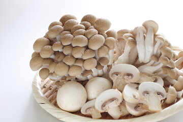 Japanese food ingredient, Shimeji mushroom with copy space
