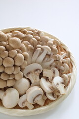 Japanese food ingredient, Shimeji mushroom with copy space