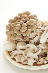 Japanese food ingredient, Shimeji mushroom with copy space