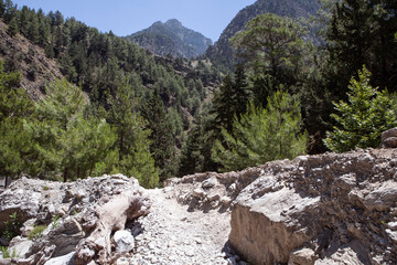 Looking down at Samaria gorge from a ridge.