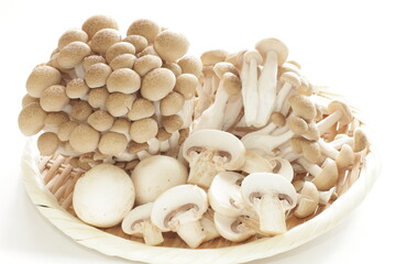 Japanese food ingredient, Shimeji mushroom with copy space