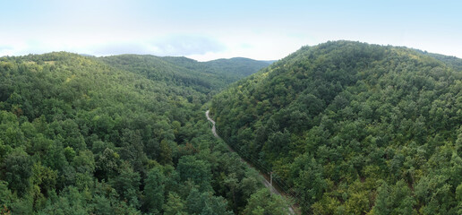 Fototapeta na wymiar panoramic aerial shot of forest and hills