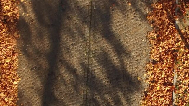 Drohnenaufnahmen: Aufstieg von einer Stra&szlig;e aus mit Blick nach unten. Kopfsteinpflaster und Herbsbl&auml;tter