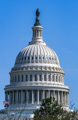 Obraz premium U.S.Capitol_Flag