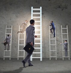 Career progression concept with various ladders