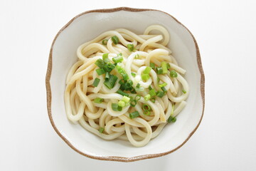 Japanese food, spring onion and Udon noodles with copy space