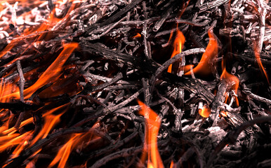 fire texture, close-up. Background with flame .