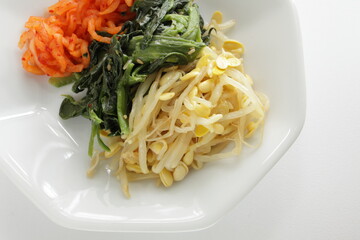 Korean food, homemade Namul seasoning radish and spinach with soy sprout