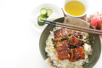Japanese food, grilled uragi eel fish on green tea rice