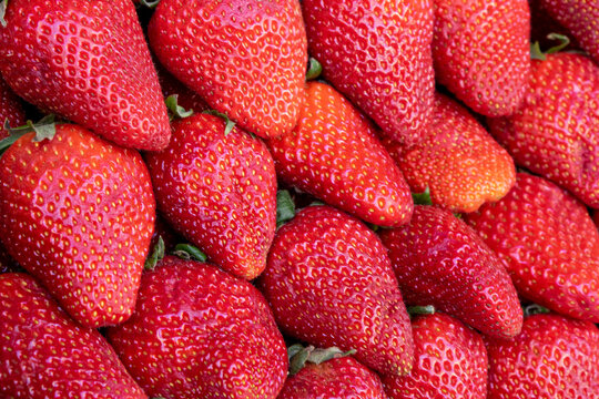 Frutillas