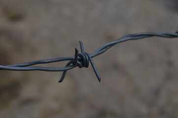 barbed wire fence
