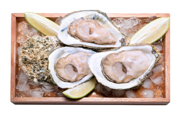 Fresh Oysters in a wood plate with chilli paste and lemon on white background,Thai style seafood.