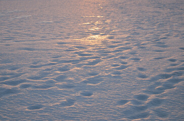 冬　雪　夕暮れ　足跡　素材