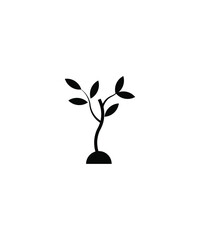 plant icon,vector best flat icon.