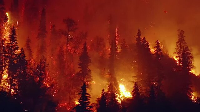 Wildfire season, drone shot of a raging forest fire, burning pine trees and wilderness in flames, night time,  Northwest fires, in Washington, United states -  tracking, Aerial view