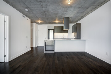Real estate photography - Beautiful empty brand new apartment in an apartment building with bathroom, new kitchen, new floors, all white painted