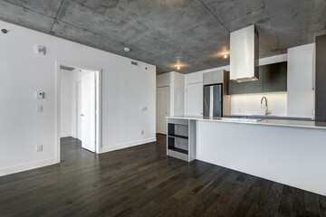 Real estate photography - Beautiful empty brand new apartment in an apartment building with bathroom, new kitchen, new floors, all white painted