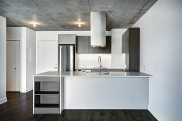 Real estate photography - Beautiful empty brand new apartment in an apartment building with bathroom, new kitchen, new floors, all white painted