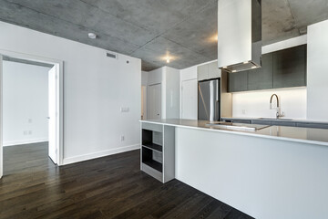 Real estate photography - Beautiful empty brand new apartment in an apartment building with bathroom, new kitchen, new floors, all white painted