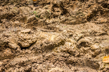 Texture of clay and earth with water.