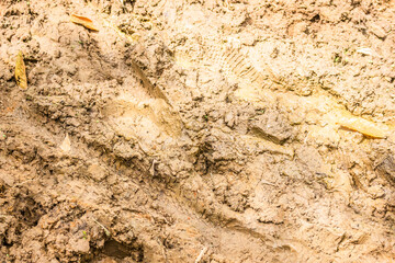Texture of clay and earth with water.