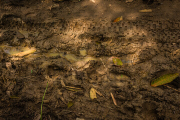 Texture of clay and earth with water.