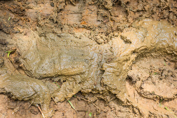 Texture of clay and earth with water.