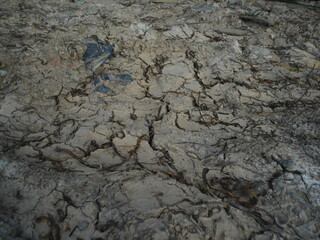 Textura tierra agrietada, verano