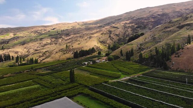 World famous Fruitlands in valley of New Zealand with plenty fruit orchards