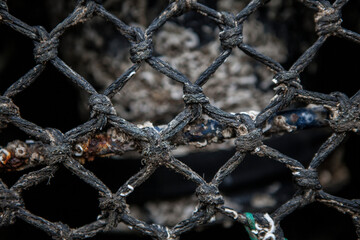 Fototapeta premium fishing equipment