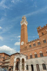 Fototapeta premium Piazza del Campo, Siena, Toskania, Włochy.