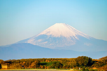 Fototapeta premium 【冬の富士山】三浦半島から見る、富士山