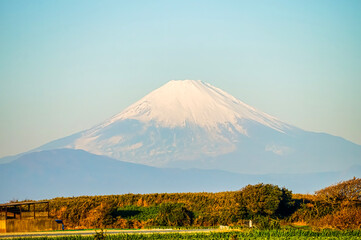 Fototapeta premium 【冬の富士山】三浦半島から見る、富士山